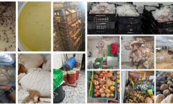Tunisie : 29 tonnes de denrées et 4000 litres d’eau impropre saisis